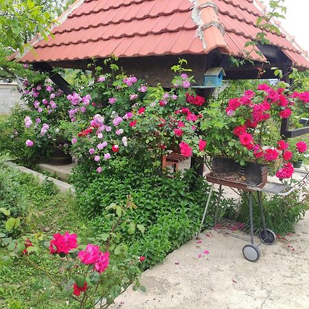 Green Valley Котор Экстерьер фото