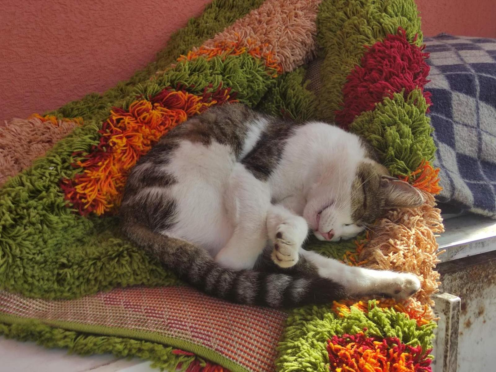 Green Valley Котор Экстерьер фото