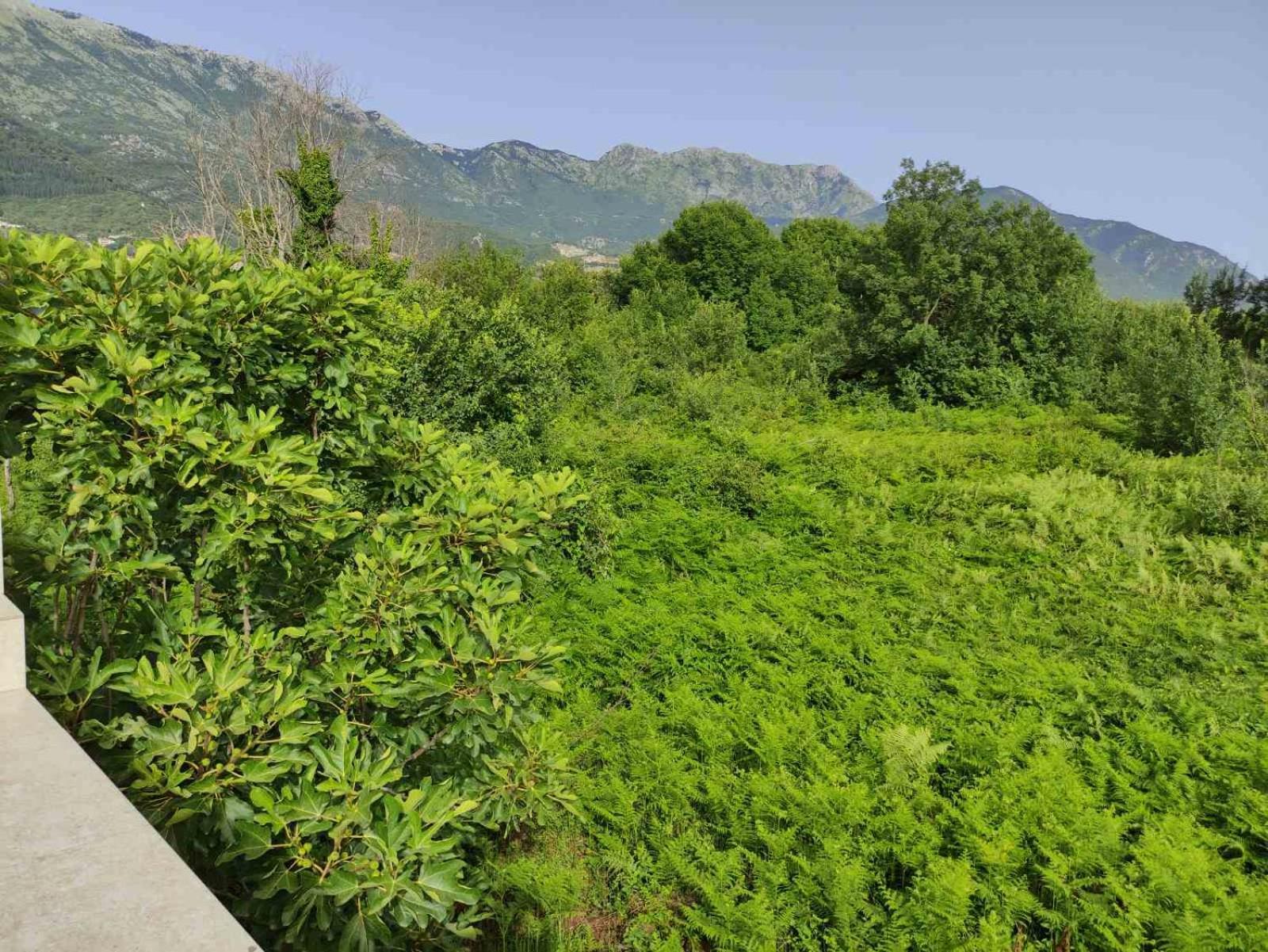 Green Valley Котор Экстерьер фото