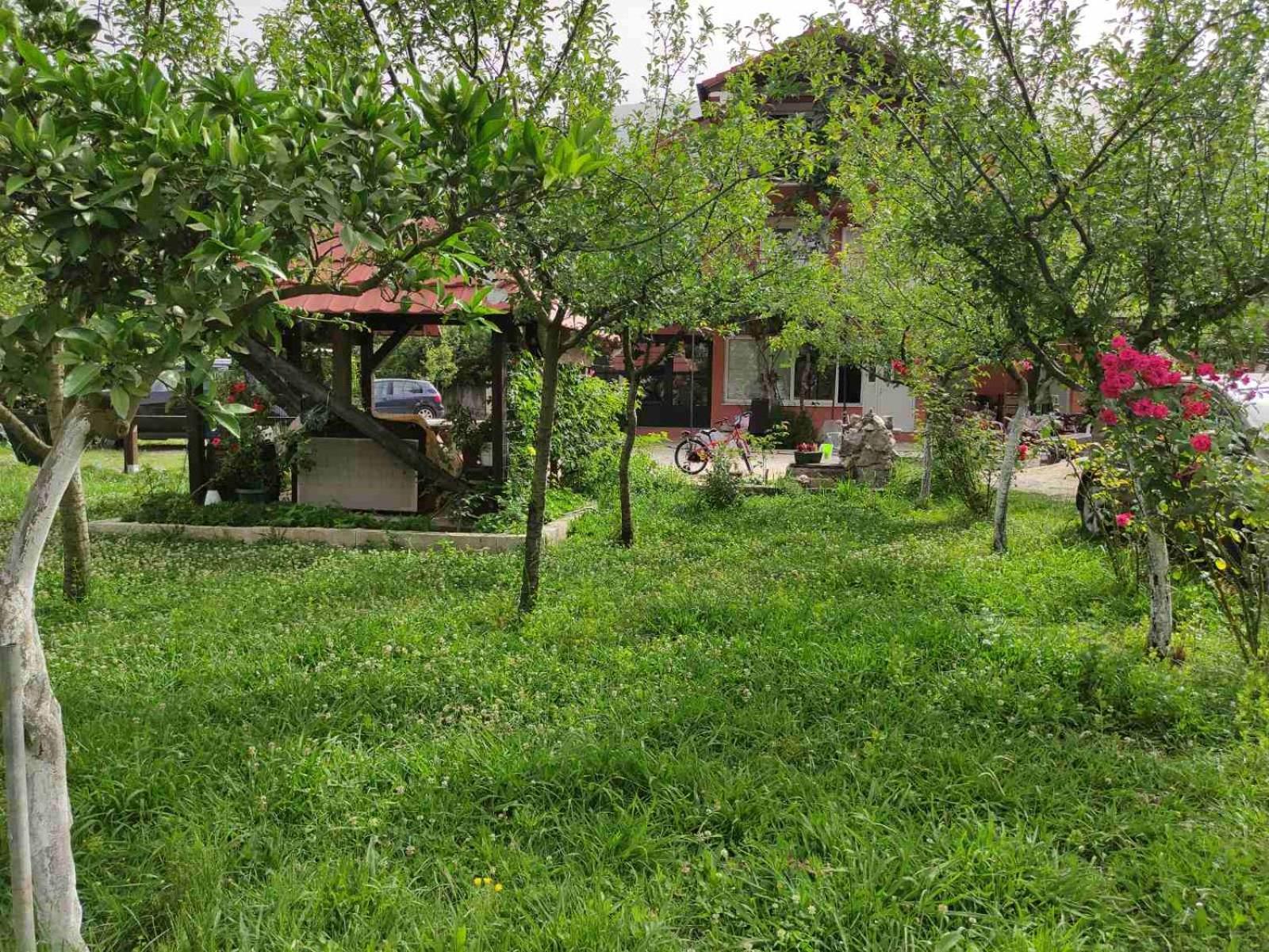 Green Valley Котор Экстерьер фото