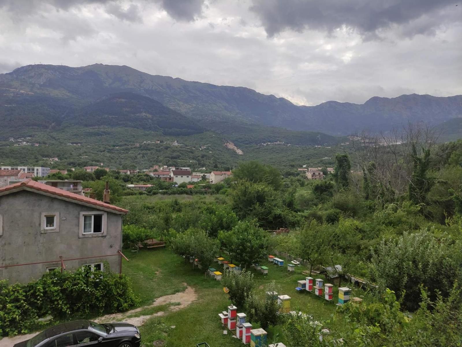 Green Valley Котор Экстерьер фото