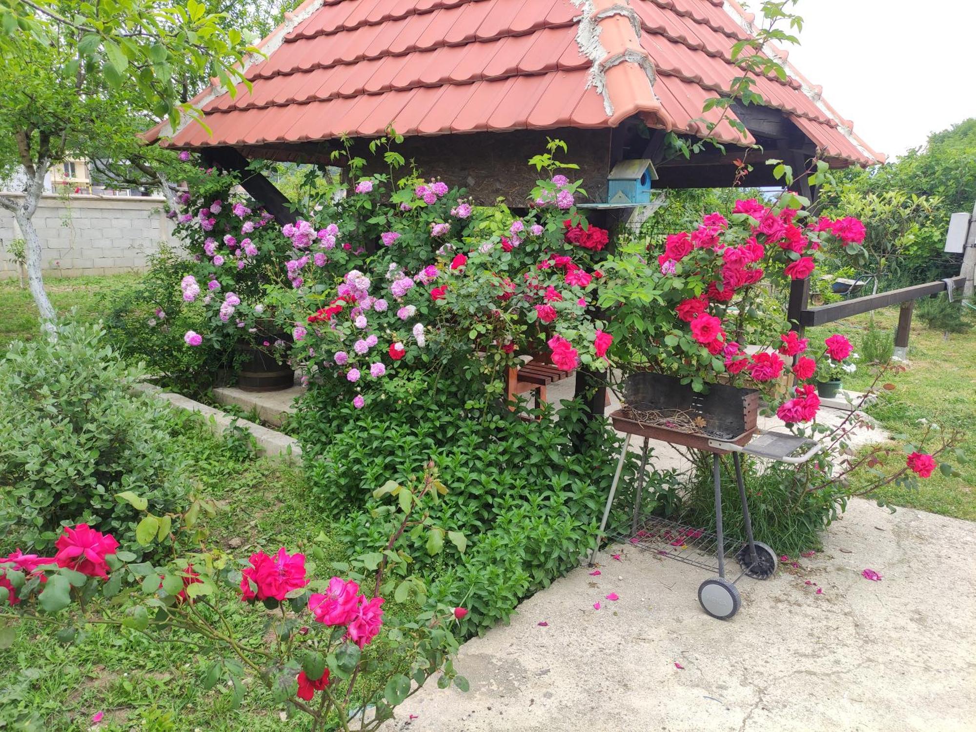 Green Valley Котор Экстерьер фото